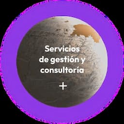 Servicios de gestion y consultoría